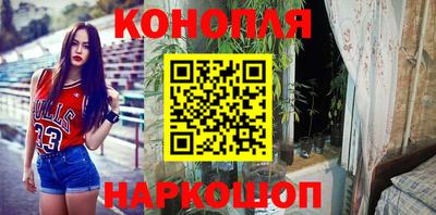 стафф Заводоуковск