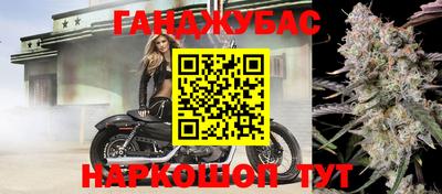 сатива Жуковский