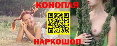 сатива Жуковский