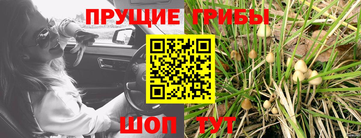 Галлюциногенные грибы Cubensis  Вход с VPN  купить   Кулебаки 